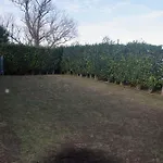 Casa Da Comadre * Santo Antonio (Sao Miguel)