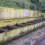 Casa Da Comadre Santo Antonio (Sao Miguel)