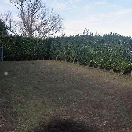 Casa Da Comadre * Santo Antonio (Sao Miguel)