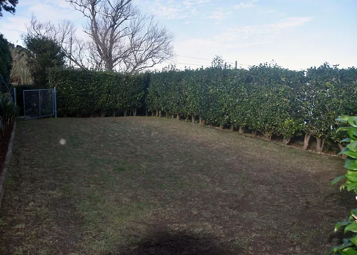 Casa Da Comadre * Santo Antonio (Sao Miguel)