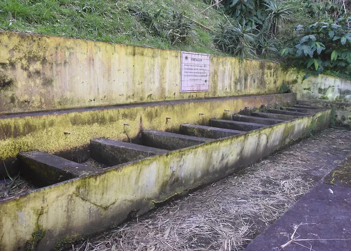 Casa Da Comadre Santo Antonio (Sao Miguel)